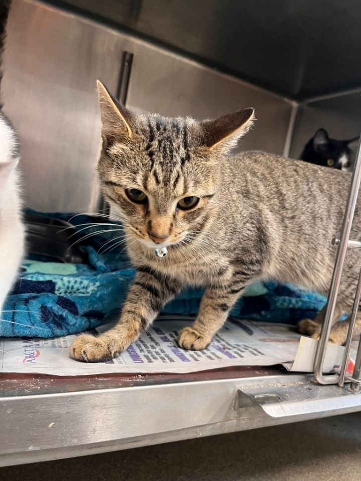 Calla Carter photo 4